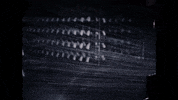 Youtube Film GIF