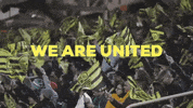 Soccer Uslchampionship GIF by New Mexico United