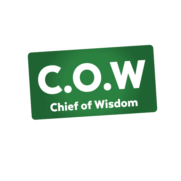 instagram stories Sticker by Startup Farm