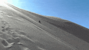 colorado GIF