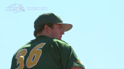 north dakota state baseball GIF by NDSU Athletics