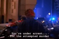 season 1 GIF by Twin Peaks on Showtime