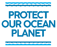 Scripps Institution Of Oceanography Sticker by Birch Aquarium at Scripps