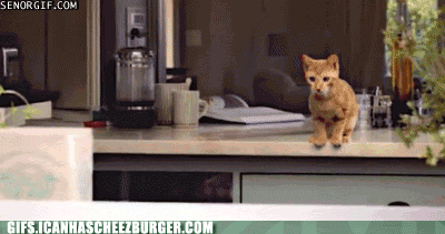 counter GIF