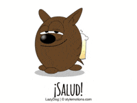 Cheers Cerveza GIF by stylemotions
