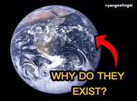 What Are They Doing Planet Earth GIF
