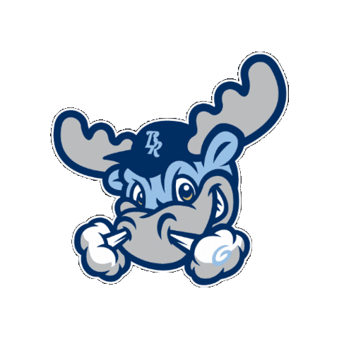 bluerocks giphygifmaker baseball wilmington blue rocks Sticker