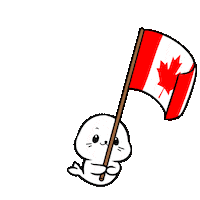 Canadian Football Sticker by Sappy Seals