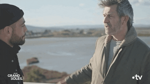 Bro Hug GIF by Un si grand soleil