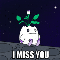 Lonely Love You GIF by Magic Eden