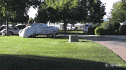 bel air chevy GIF by Off The Jacks
