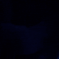 College Football Go Cougs GIF by BYU Cougars