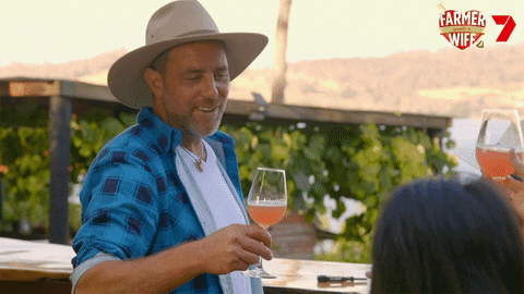 Cheers Wine GIF by Farmer Wants A Wife
