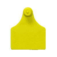 Laser Boi Sticker by Primaza