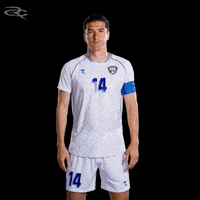 Fifa World Cup Afc GIF by Respective
