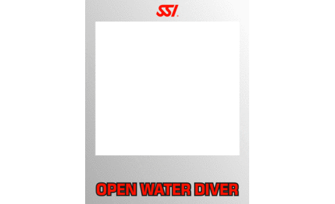 Congrats Congratulations Sticker by Scuba Schools International