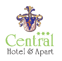centralhotelapartzillertal zillertal ahc fuegen fugen Sticker