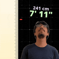 Seven Eleven 7 Foot GIF