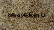 sub pop tennis GIF by Sub Pop Records
