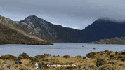 National Park Australia GIF