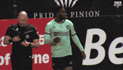 Celebration GIF by Cliftonville Football Club