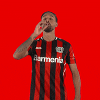 Celebrating Happy Birthday GIF by Bayer 04 Leverkusen