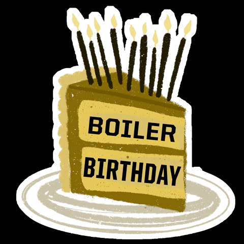 Celebrate Black And Gold GIF by Purdue University