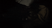 haunted house cinema GIF by Remezcla