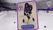 Hockey Arc GIF by All-Round Champion
