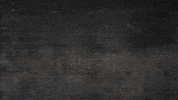 GIF by ragingbully