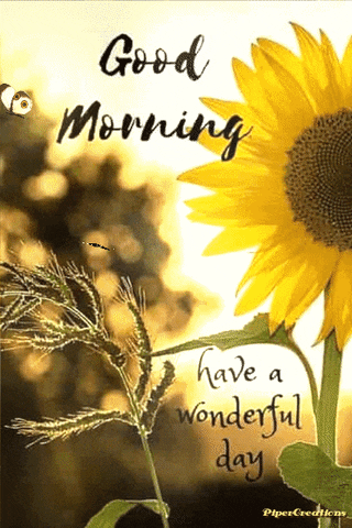 Pipercreations Goodmorning Greeting Inspiration Hello Nature Sunflower Butterflies GIF