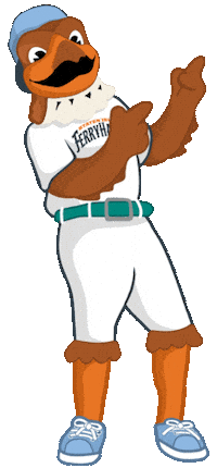 ferryhawks frankie staten island hypesquad ferryhawks Sticker