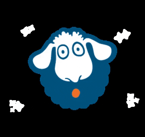 asuar_communication giphygifmaker sheep pecora asuar GIF