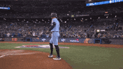 Walk Up Blue Jays GIF by Toronto Blue Jays