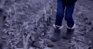 GIF by Polyvinyl Records