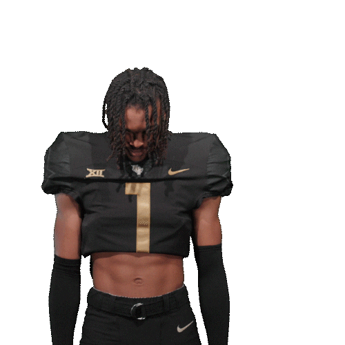 Ncaa Football Sticker by UCF Knights