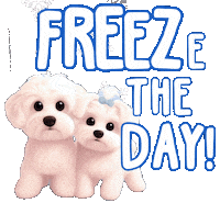 Freezing Merry Christmas Sticker by HammyandBrody