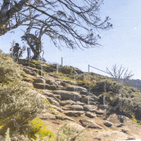 GIF by Thredbo