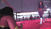 Dropkick GIF