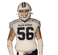 BlueWingsWolfsburg football sticker blue point Sticker