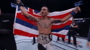 ufc 212 GIF