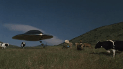 spaceship gucci GIF by ADWEEK