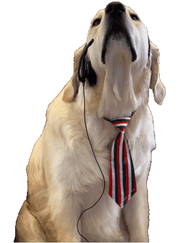 Dog Working Sticker by Rigatoni