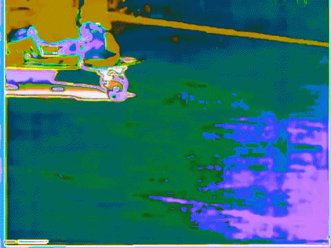 summer fall GIF by MFD