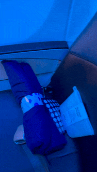 Travel Flying GIF