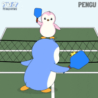 Sport Penguin GIF by Pudgy Penguins