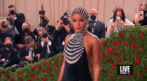 Janelle Monae GIF by E!