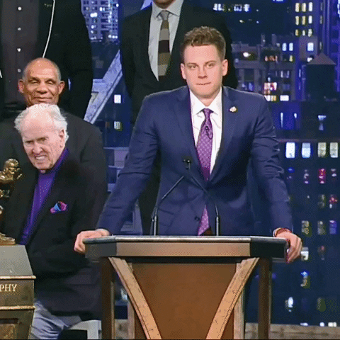 Ncaa Football GIF by LSU Tigers