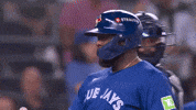 Celebrate Home Run GIF by Toronto Blue Jays