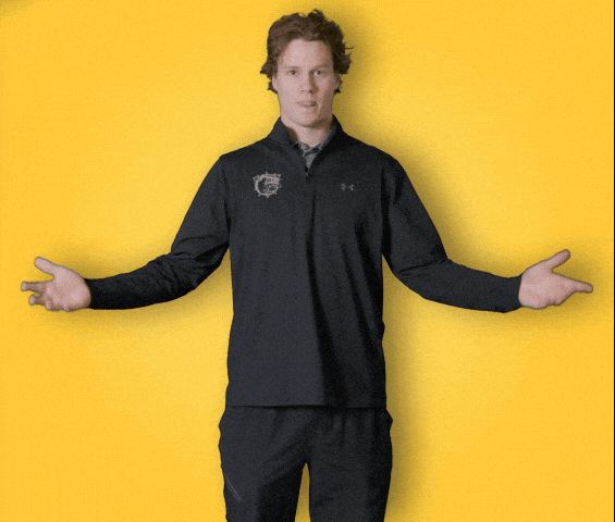 Nhl Ohl GIF by Brantford Bulldogs